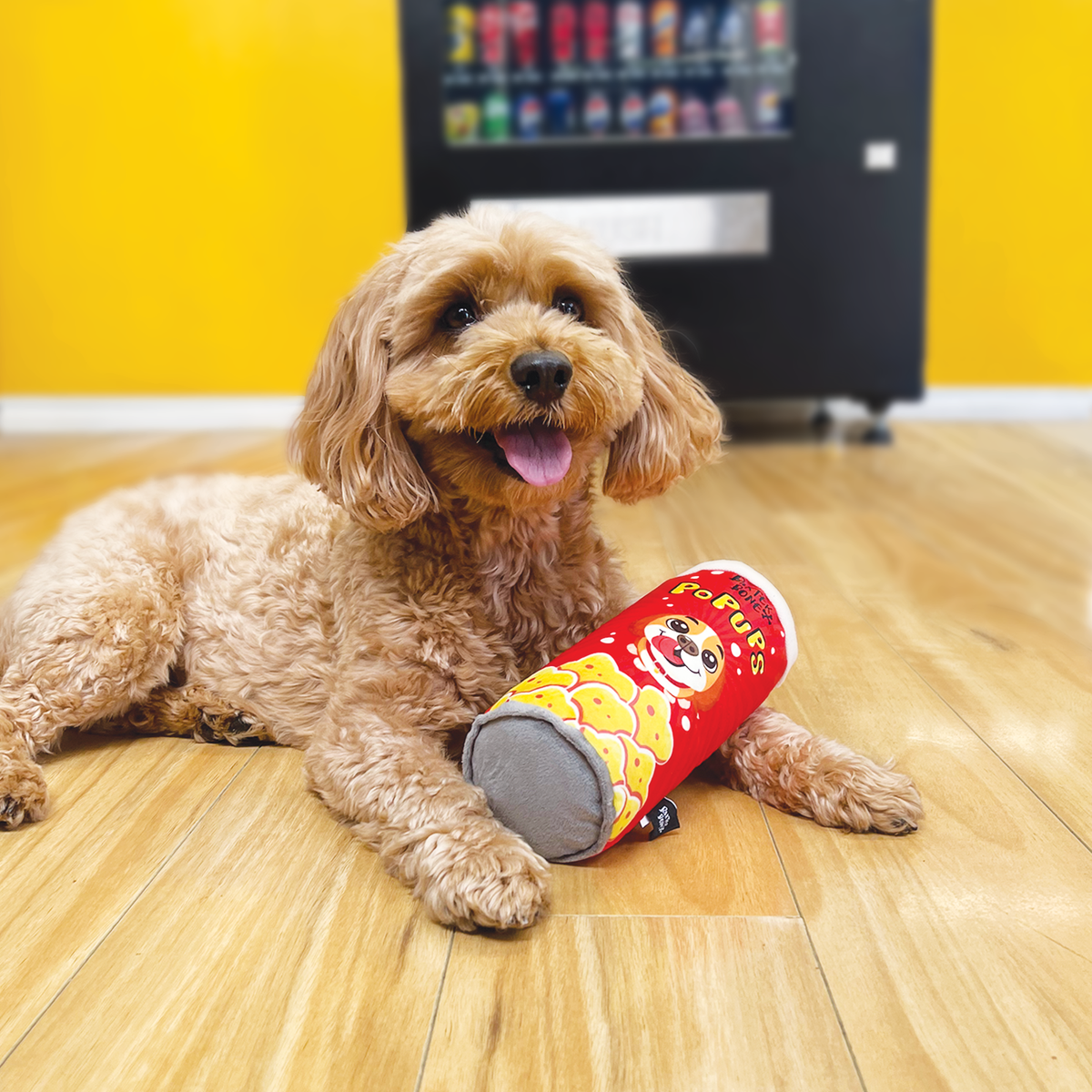 Baxter Bone Pop Ups Chips Can Plush Pet Toy - 80mm x 200mm - Red - Squeakers & Crinkle - SuperSaverAU - view 4