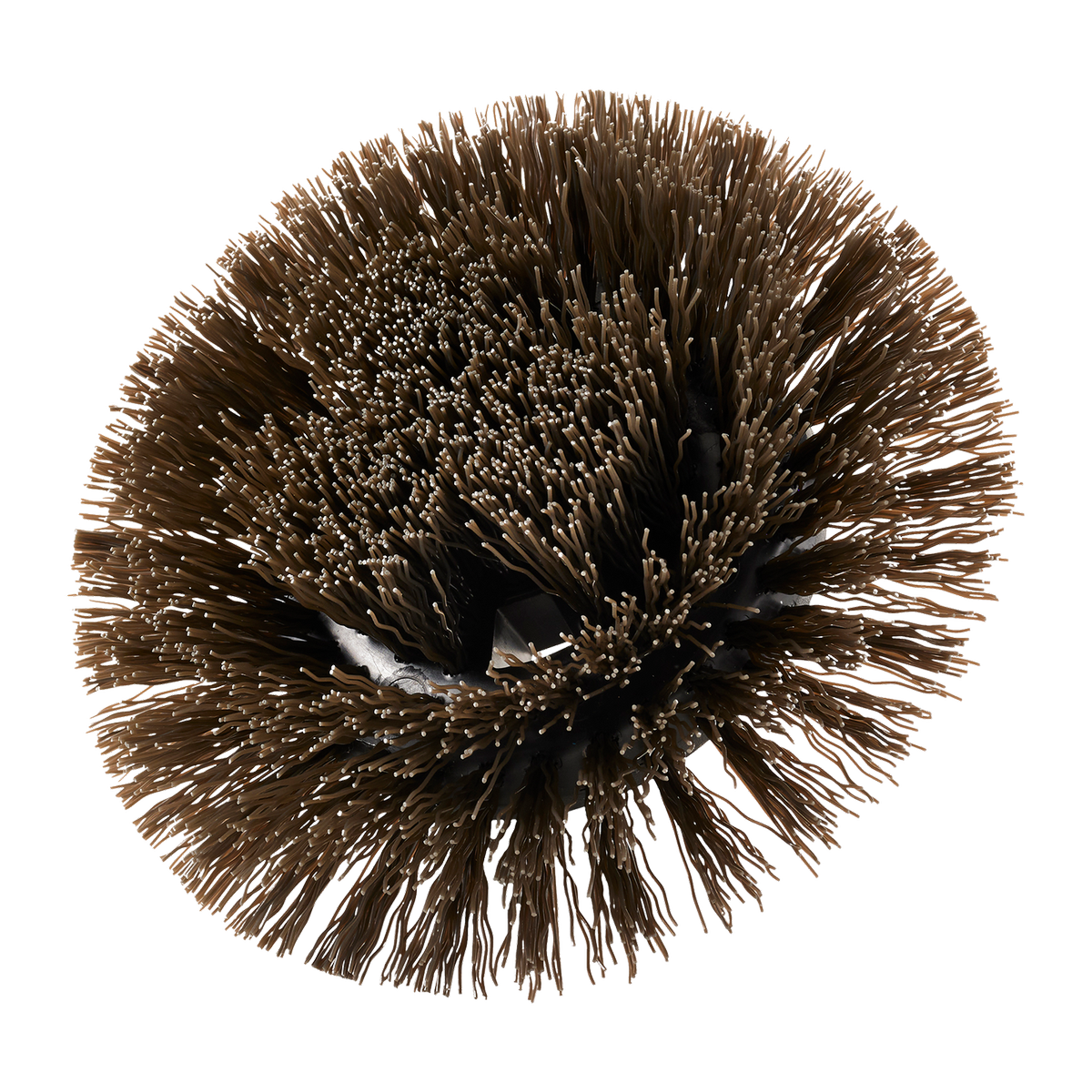 Ryobi 150mm Round Hard Bristle Brush - Tough Cleaning Tool - Durable Bristles - SuperSaverAU - view 1