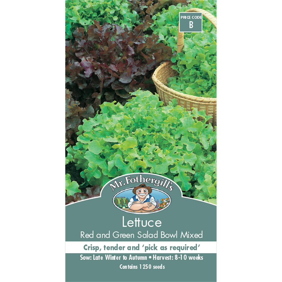 Mr Fothergill Lettuce Seeds - Red Green Salad Bowl - 75mm - Crisp Tender - SuperSaverAU - view 1