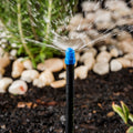 Pope Half Circle MicroJet 10 Pack Blue 40L/h Above Ground Spray