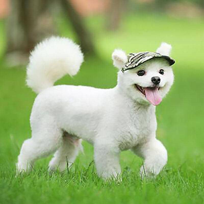 Canvas Dog Sun Hat with Ear Holes, Medium (31 cm Head) - Multicolour Stripe - view 5