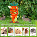 Carrot Shaped Wooden Food Dispenser for Rabbits and Small Pets, Chew Enrichment Toy - view 4