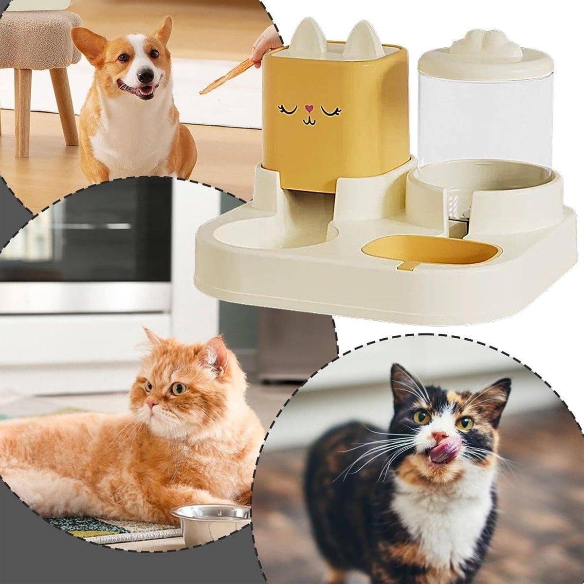 Cat Face Pet Feeder and Water Dispenser Station - Yellow - view 5
