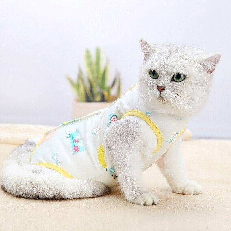 Cat Recovery Suit After Surgery - Cream with Yellow Trim, Size S (Bust 33 cm, Length 21 cm) - view 4