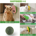 Cat Self-Grooming Scrubber Toy with Soft Silicone Bristles - Green - view 5