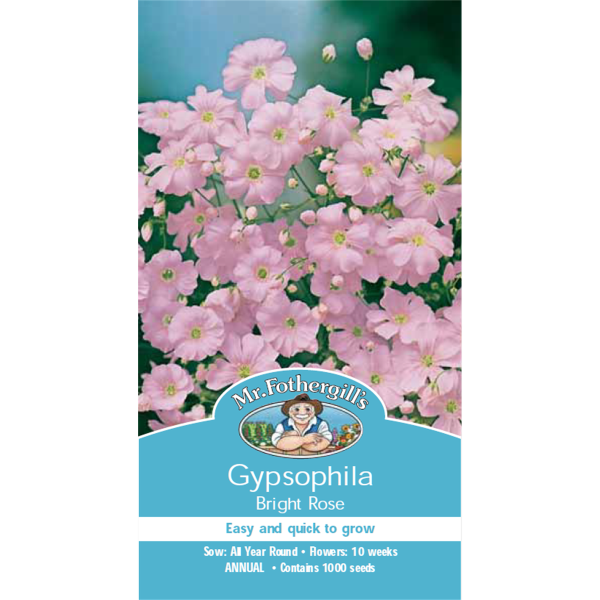 Mr Fothergill Gypsophila Flower Seeds - 60cm - Hardy Annual - Easy Grow - SuperSaverAU - view 1