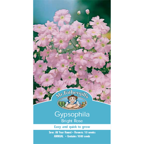 Mr Fothergill Gypsophila Flower Seeds - 60cm - Hardy Annual - Easy Grow - SuperSaverAU - view 1