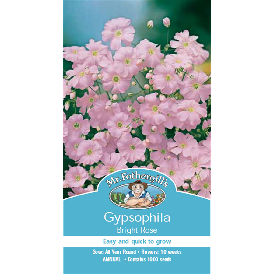 Mr Fothergill Gypsophila Flower Seeds - 60cm - Hardy Annual - Easy Grow - SuperSaverAU - view 1