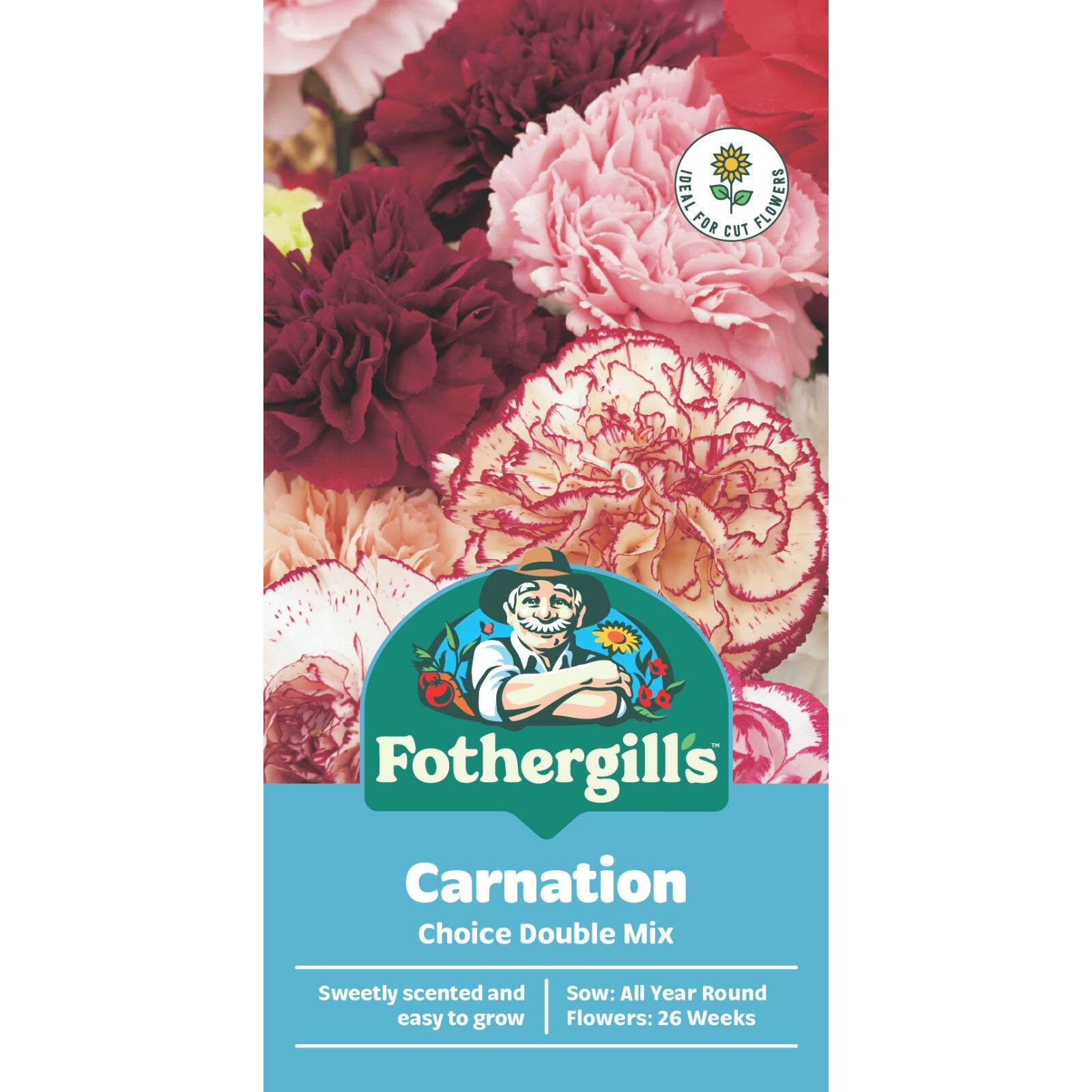 Mr Fothergill's Carnation Choice Double Mixed Flower Seeds - Scented Annuals, 45cm