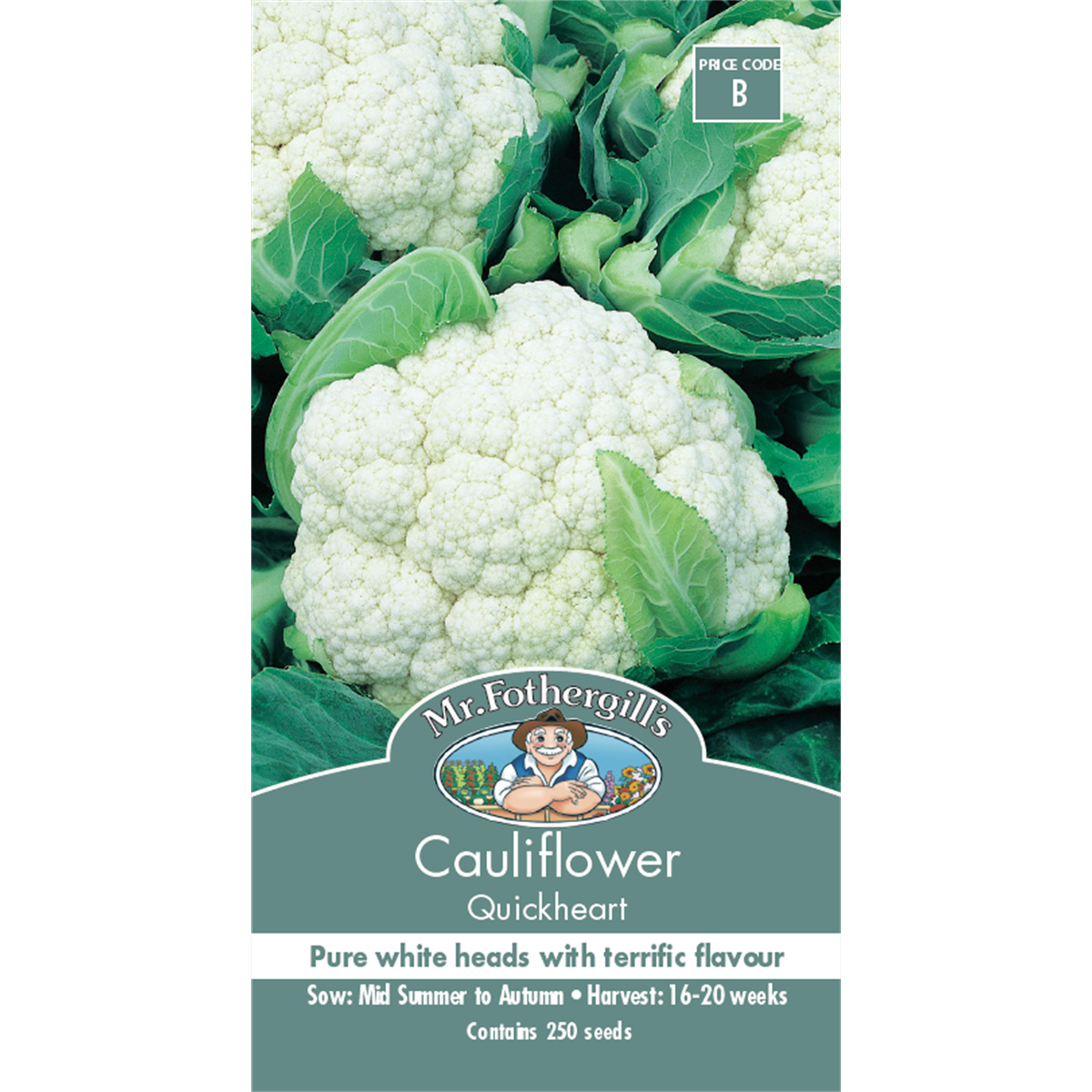 Mr Fothergill Quickheart Cauliflower Seeds 75mm White High Yield - SuperSaverAU - view 1