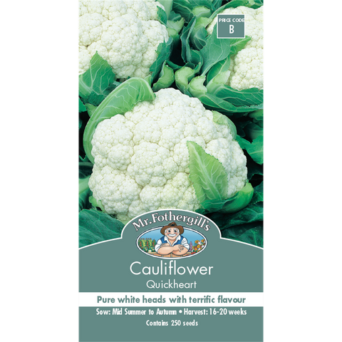 Mr Fothergill Quickheart Cauliflower Seeds 75mm White High Yield - SuperSaverAU - view 1