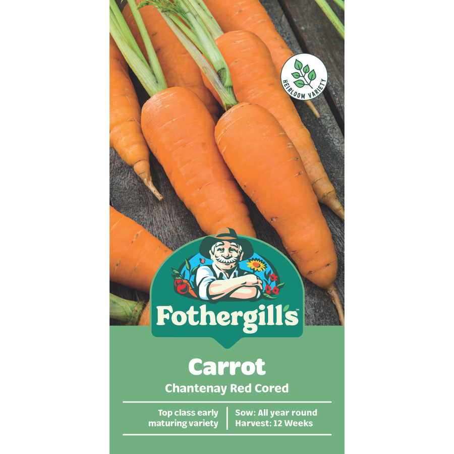 Mr Fothergill's Chantenay Red Carrot Seeds - Sweet Stump-Rooted Variety