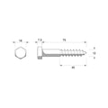 Zenith M12 x 75mm Hot Dip Galvanised Hex Head Coach Screw - Coarse Thread