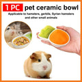 Ceramic Carrot Pet Food Bowl Double Compartment Feeder for Small Animals