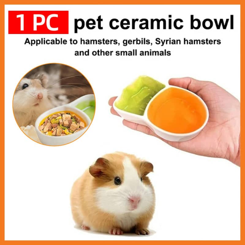 Ceramic Carrot Pet Food Bowl Double Compartment Feeder for Small Animals