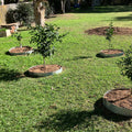 Jack 300mm Interlocking Steel Tree Ring - Garden Edging