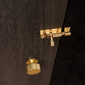 Taskmaster 38mm Polished Brass Barrel Bolt