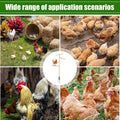 Chicken Climbing Ladder Rack for Poultry and Rabbits, Wooden Play Stand - view 5