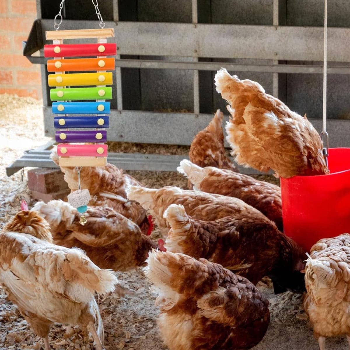 Chicken Toys Set of 5 with Climbing Ladder, Swing and Xylophone - view 4