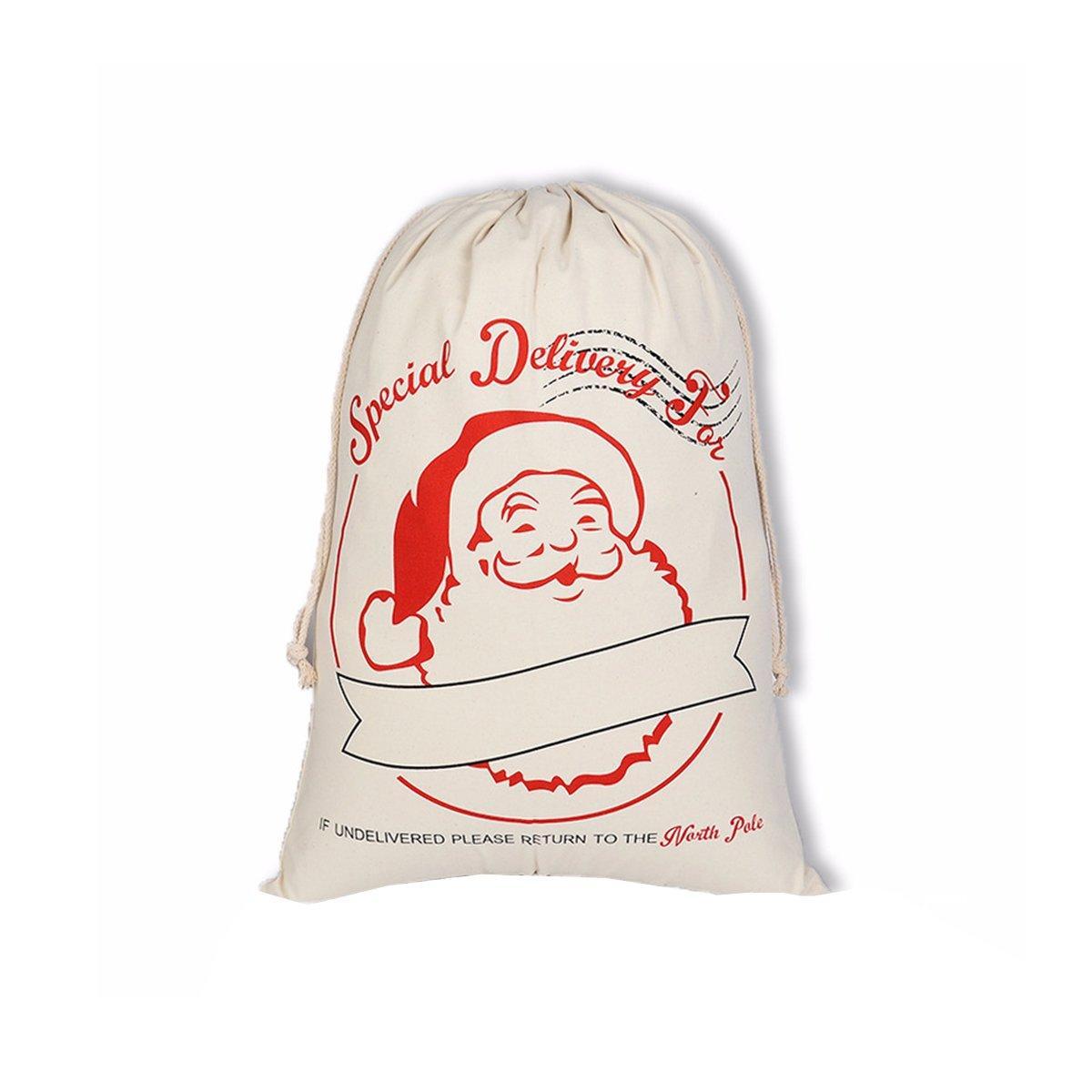 Christmas Gift Sack with Drawstring - Santa Special Delivery