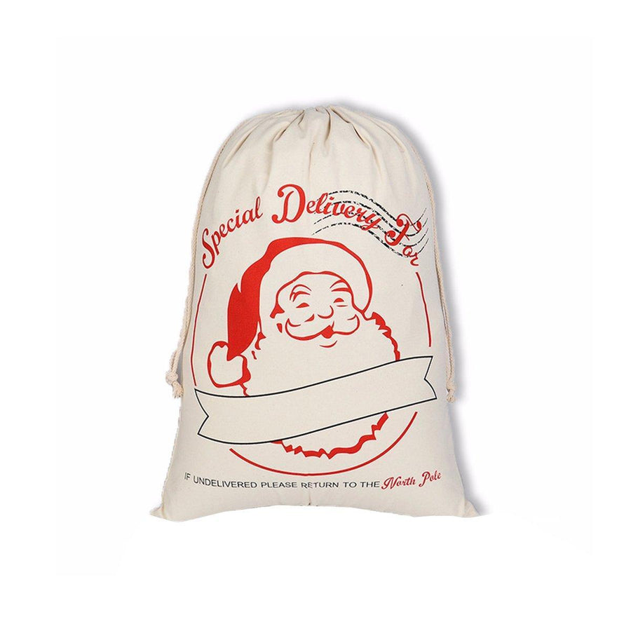 Christmas Gift Sack with Drawstring - Santa Special Delivery