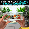 Clear Acrylic Fish Viewing Box - Medium, 15cm Ruler