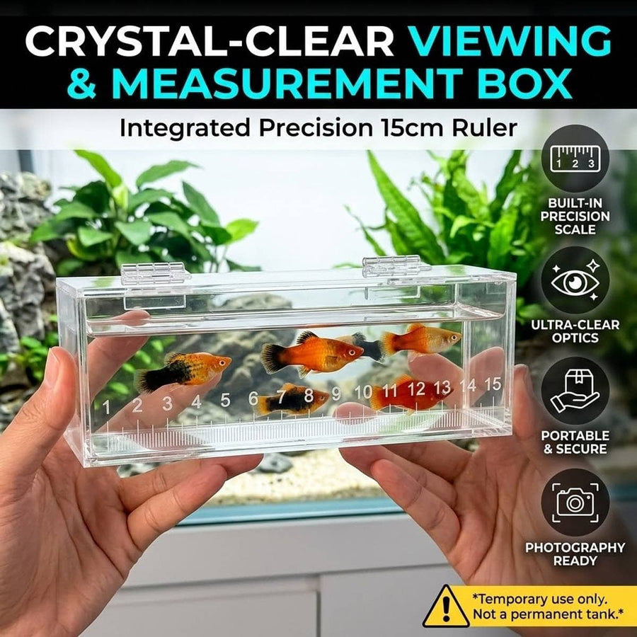 Clear Acrylic Fish Viewing Box - Medium, 15cm Ruler