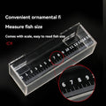 Clear Acrylic Fish Viewing Box - Medium, 15cm Ruler - view 5
