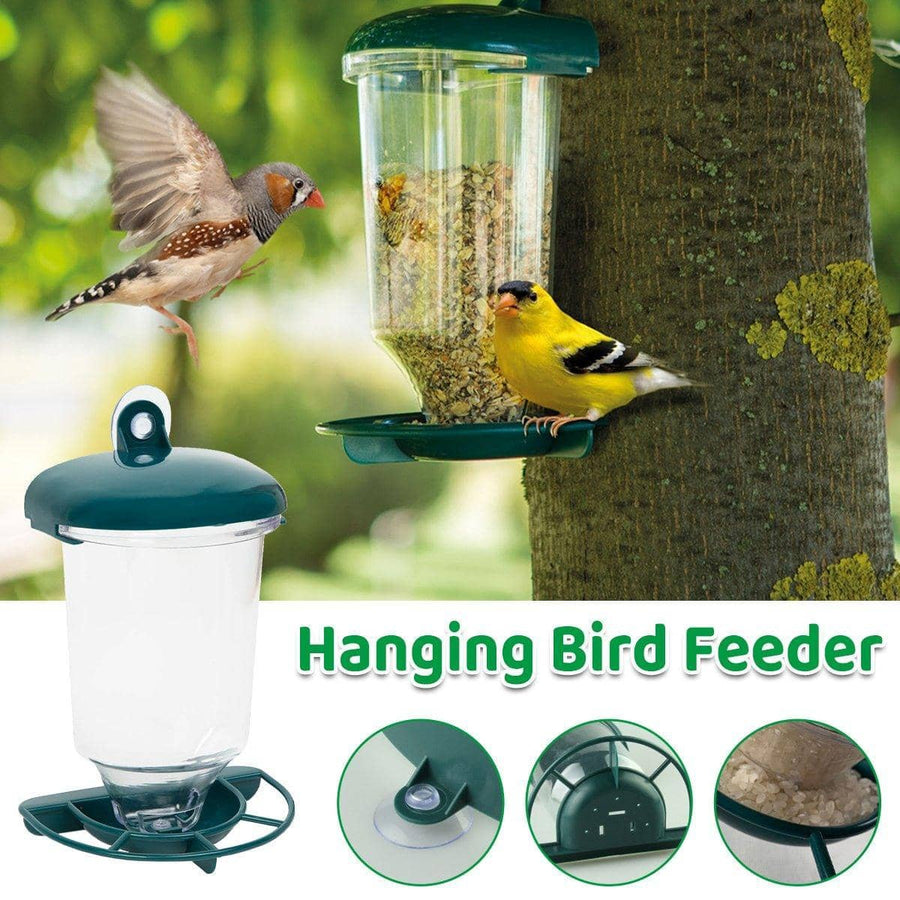 Clear Automatic Hanging Bird Feeder with Cover and Suction Cup