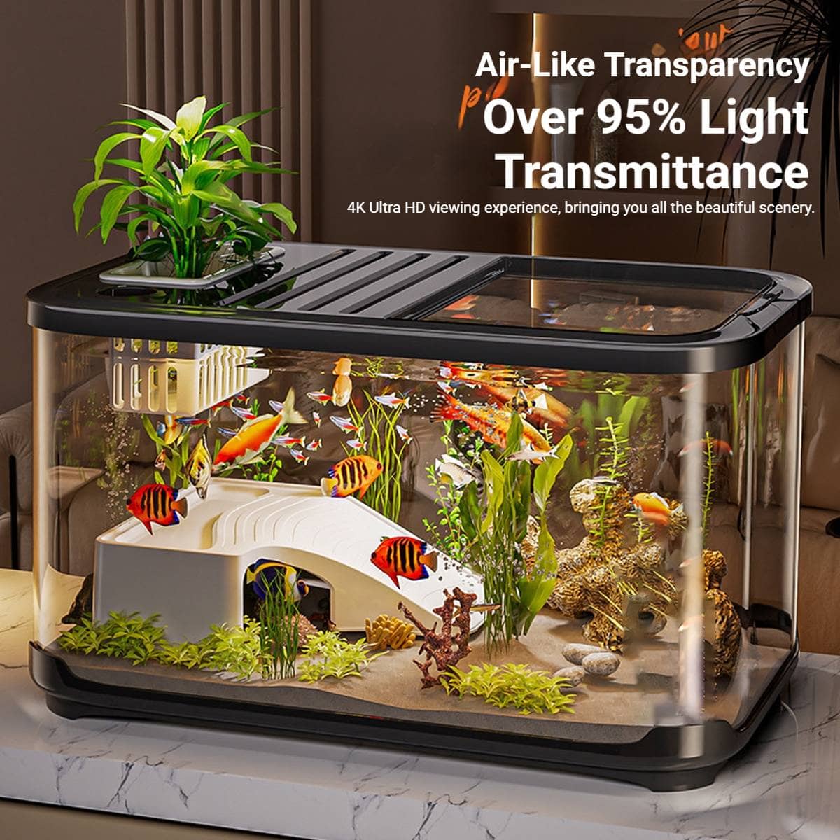 Clear Glass Desktop Fish Tank with Lid and Climbing Frame, Transparent Aquarium - view 4