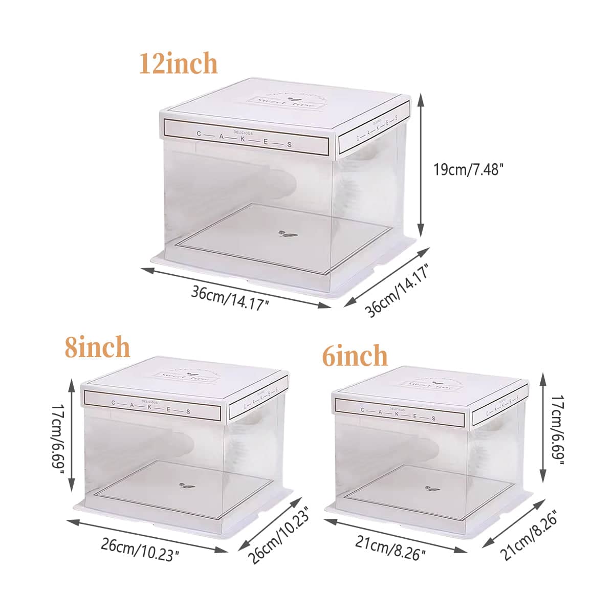 Clear PET Cake Box Treat Display - 8 Inch (20 cm), Pack of 10 - view 4