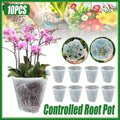 Clear Plastic Orchid Pots with Holes for Phalaenopsis Root Aeration, Pack of 10