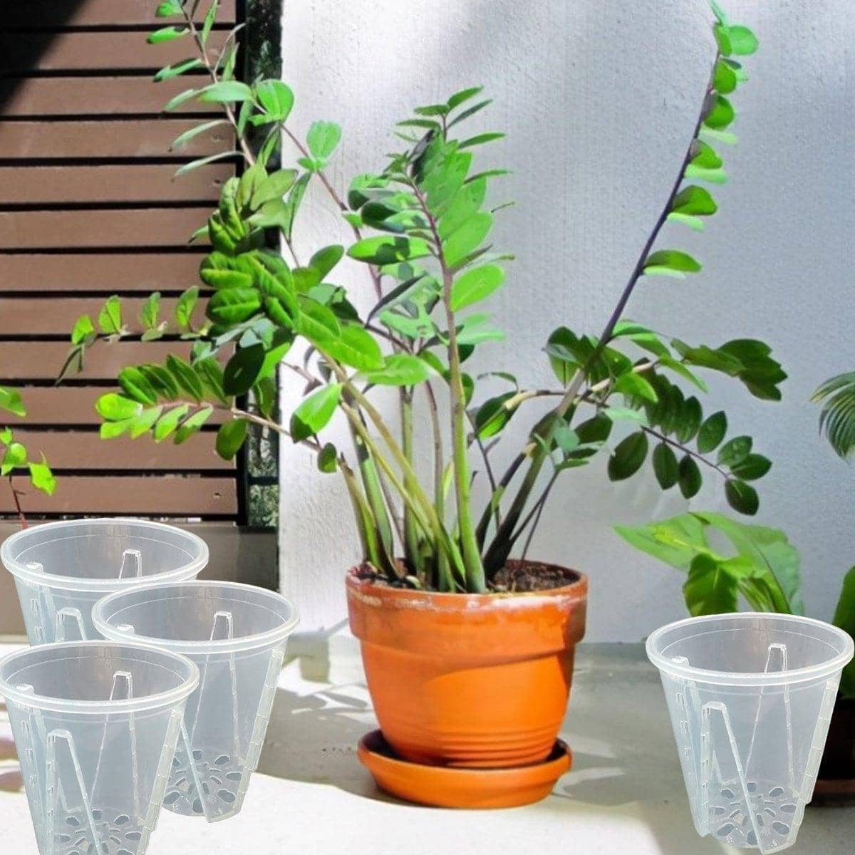 Clear Plastic Orchid Pots with Holes for Phalaenopsis Root Aeration, Pack of 10 - view 4