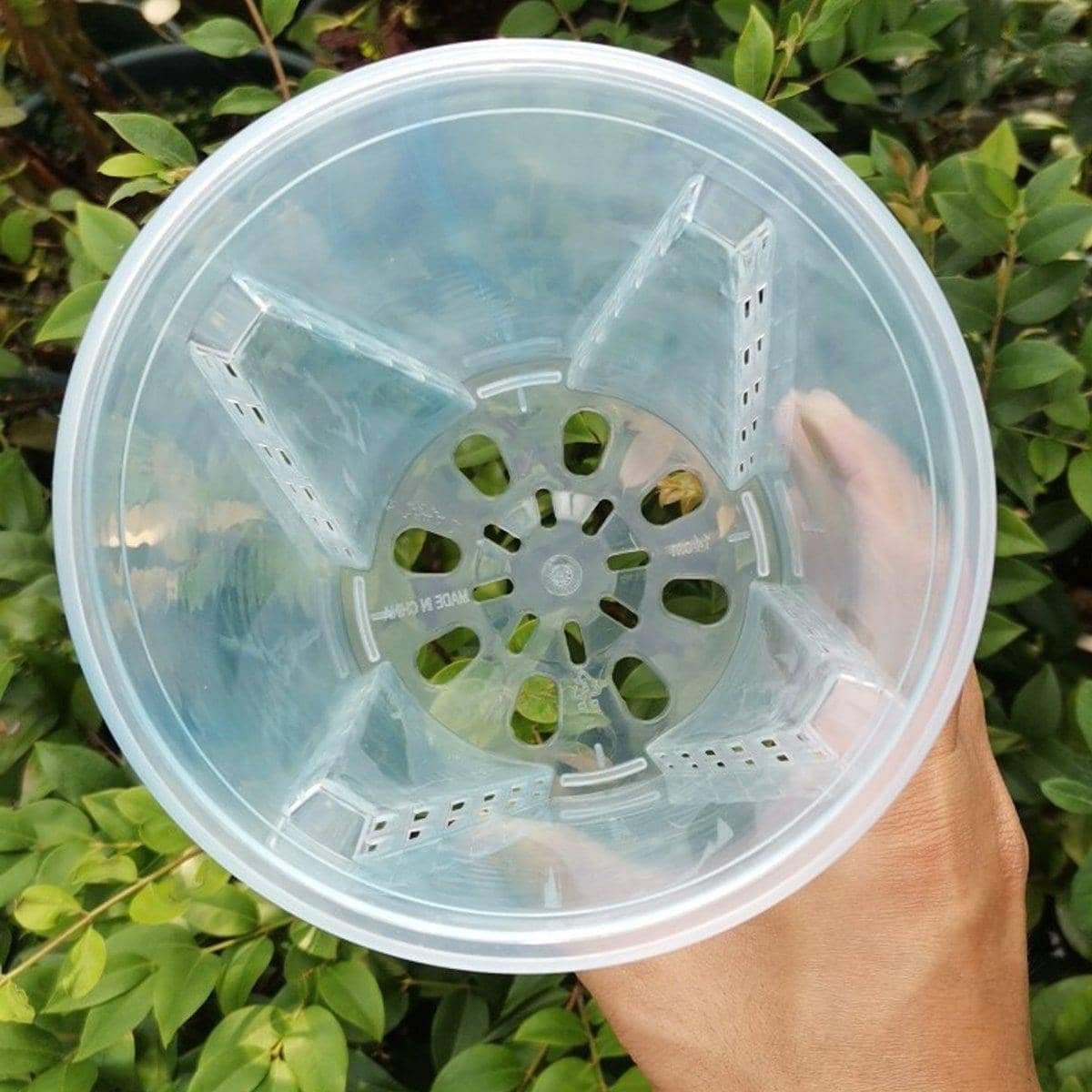 Clear Plastic Orchid Pots with Holes for Phalaenopsis Root Aeration, Pack of 10 - view 5