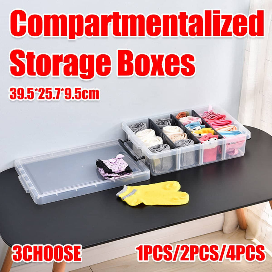 Compartment Storage Box with Removable Dividers - Clear, 6 Litre