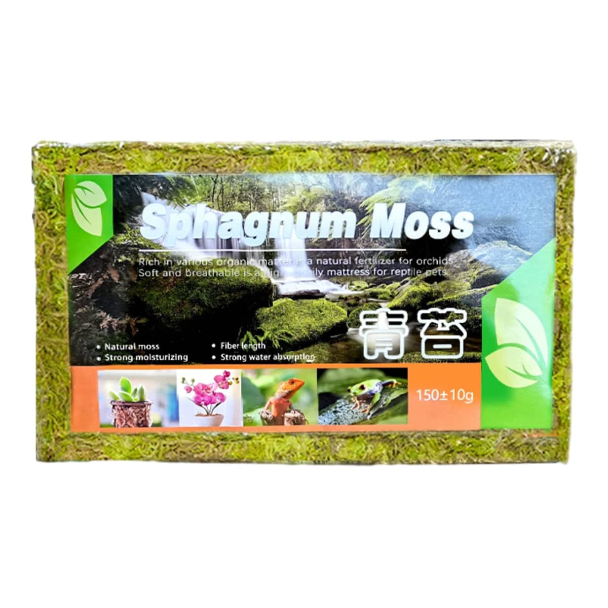 Compressed Sphagnum Moss Pad for Reptiles and Terrariums - Natural Green - view 2