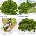 Compressed Sphagnum Moss Pad for Reptiles and Terrariums - Natural Green - view 4