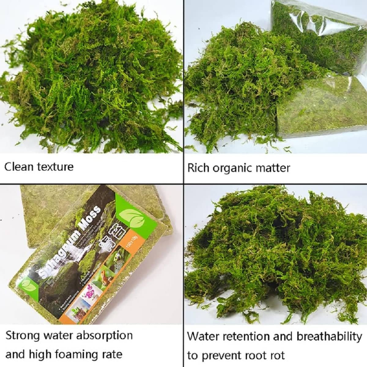 Compressed Sphagnum Moss Pad for Reptiles and Terrariums - Natural Green - view 4