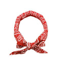 Cooling Scarf Bandana Headband Ice Neck Wrap for Sport - Red