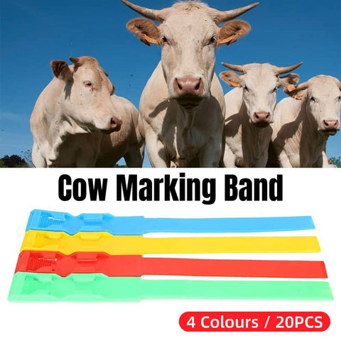 Cow Identification Foot Bands, Pack of 20 - Green - view 2