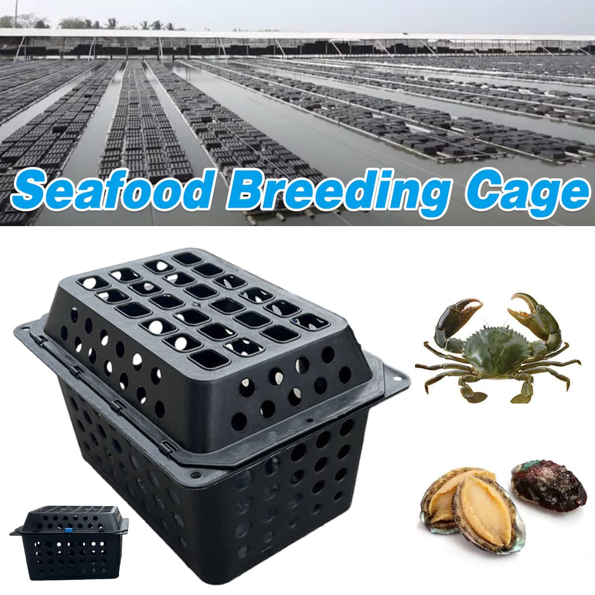 Crab Farming Cage 35 cm Seafood Breeding Box with Flip Top Lid