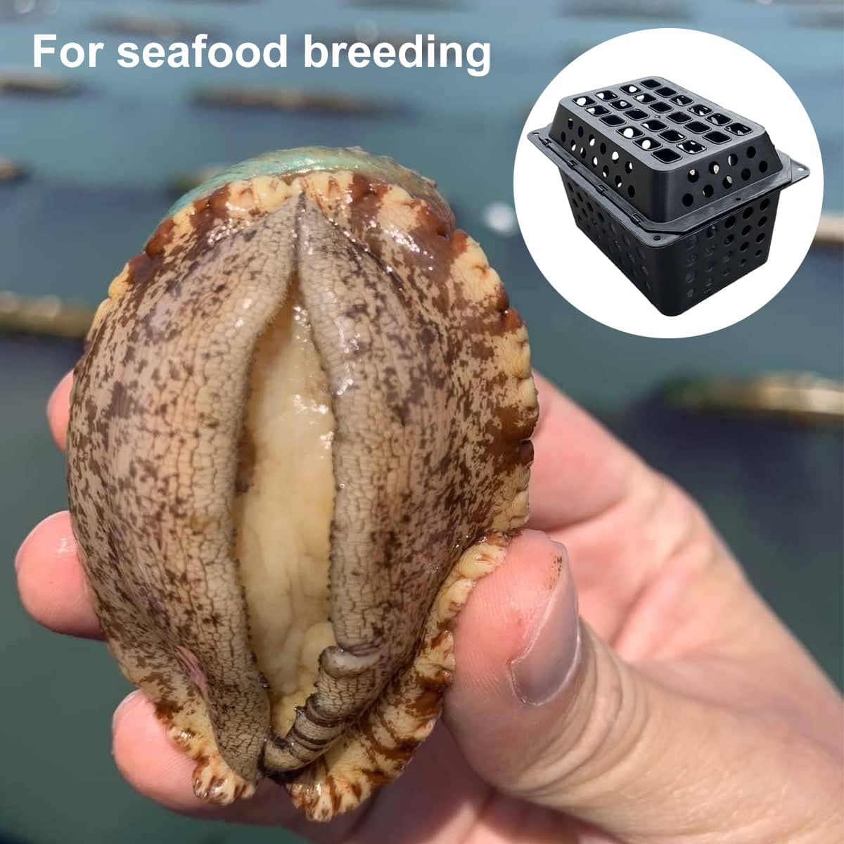 Crab Farming Cage 35 cm Seafood Breeding Box with Flip Top Lid - view 4