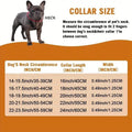 Cuban Chain Dog Collar with Artificial Diamonds - Gold, 60 cm (24 Inch) - view 4