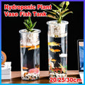 Cylindrical Hydroponic Plant Vase with Basket - Medium, 25 cm High x 10 cm Diameter - view 2