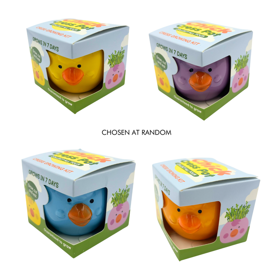 Mr Fothergill Cress Chick Grow Kit - Assorted Colours - 1 Ceramic Pot - 6 x 6 x 4.5 cm - SuperSaverAU - view 1
