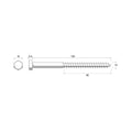 Zenith M10 x 150mm Hot Dip Galvanised Hex Head Coach Screws - Heavy-Duty Fastening - SuperSaverAU - view 2