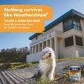 Dulux Weathershield 1L Extra Bright Gloss Exterior Paint