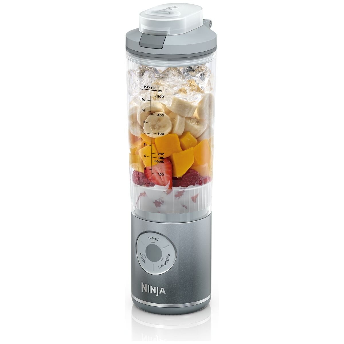 Ninja Blast Max Portable Blender 650ml - Platinum Silver - Cordless Auto IQ Programs - BC251SL
