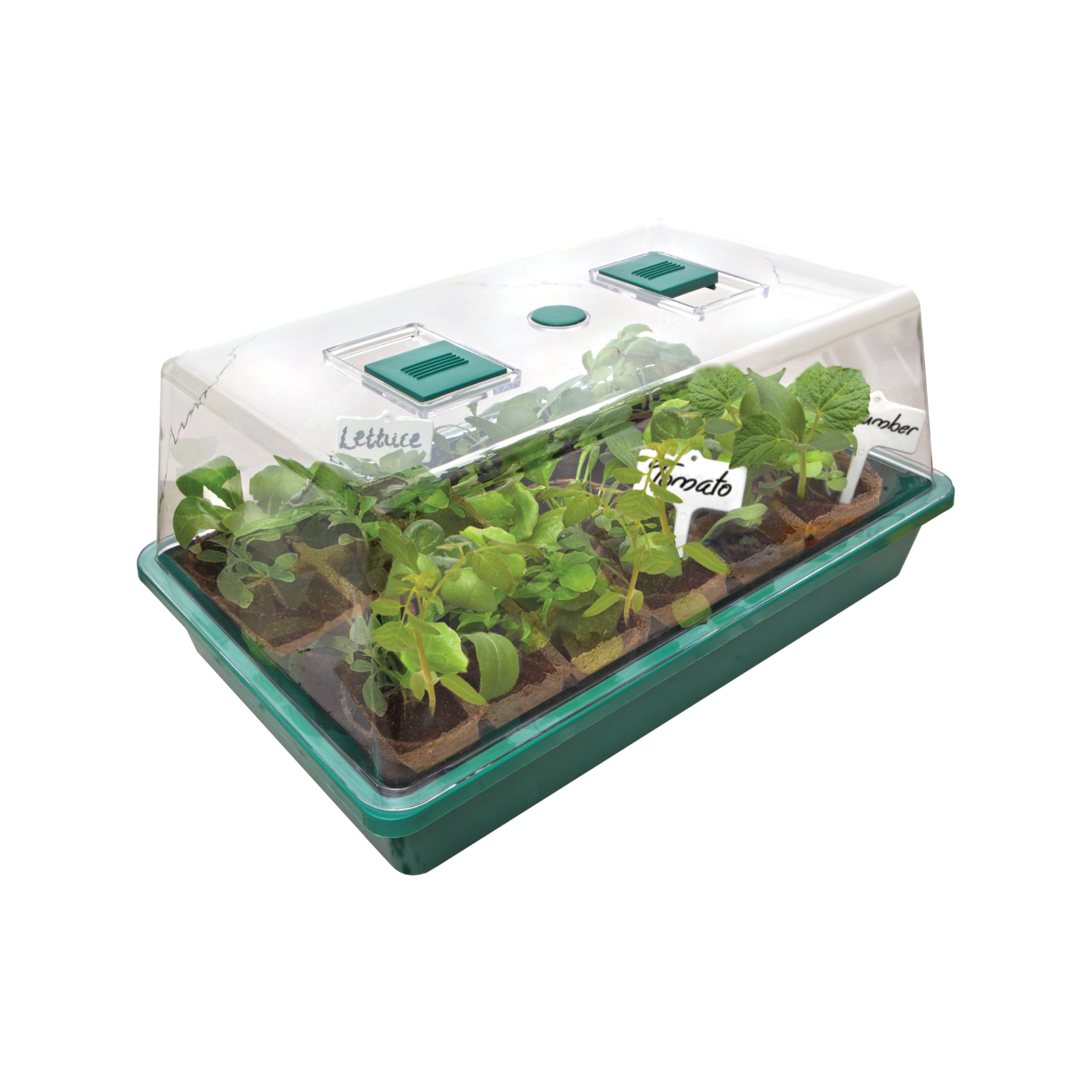 Mr Fothergill's Herb Garden Starter Kit with Greenhouse