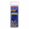 Otter 7 x 20mm Polished Stainless Steel 304 Hinge Screws - 16 Pack - SuperSaverAU - view 1